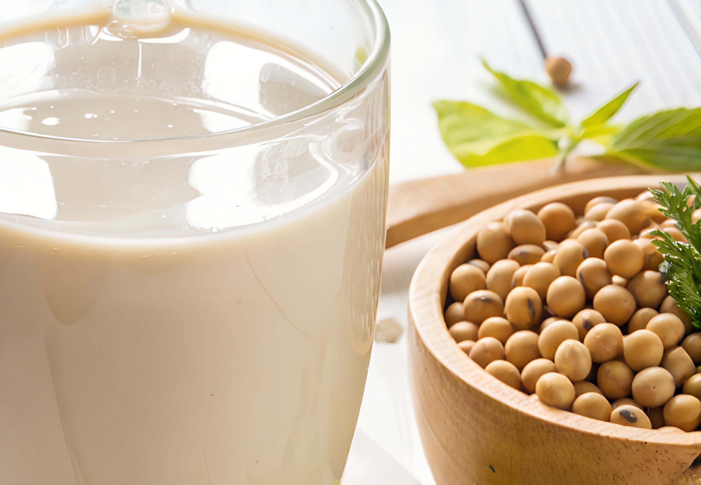 SOY MILK