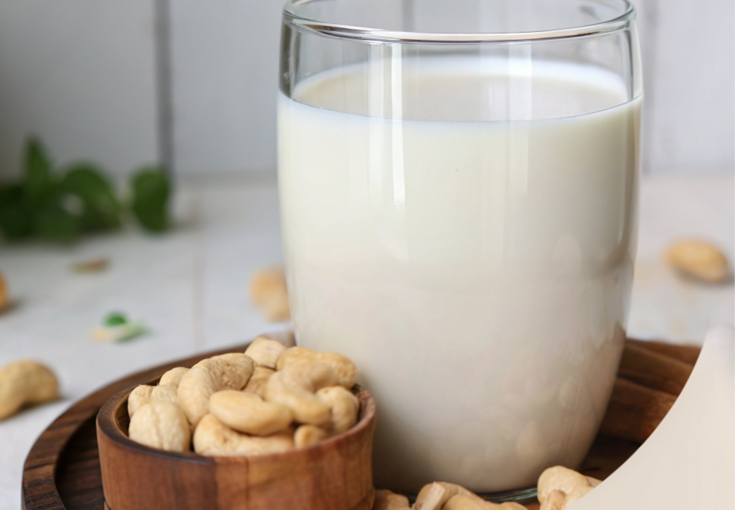CASHEW CREAMER